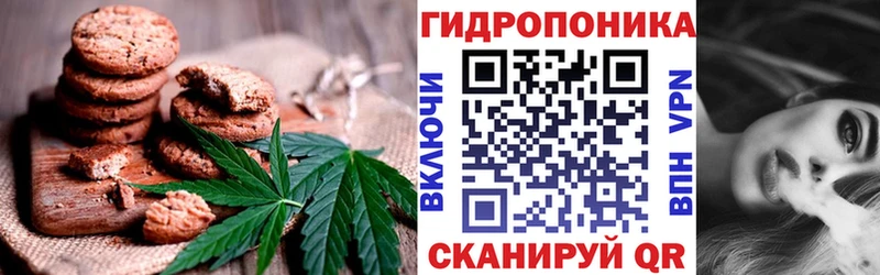 закладка  Кинель  Cannafood конопля 