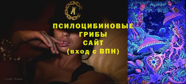 эйфоретик Белокуриха